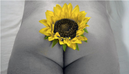 How To Have Your First Prostate Orgasm